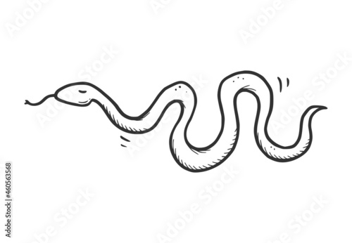 Hand drawn desert snake serpent pose. Doodle sketch style. Drawing line simple snake icon. Isolated vector illustration.