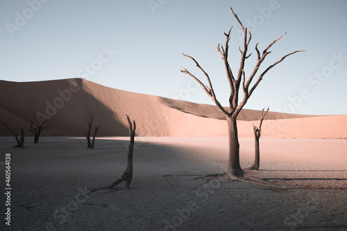 Beautiful natural landscape of Namib Desert. The region with the lowest population density in the world. A popular tourist country and destination in Africa, Namibia.