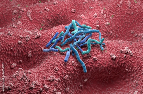  	Helicobacter Pylori Bacteria field on the stomach wall - isometric view 3d illustration 	 photo