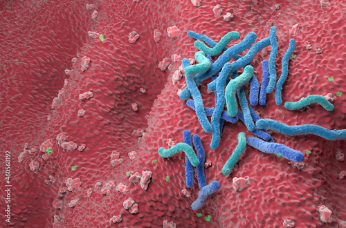 Helicobacter Pylori Bacteria field on the stomach wall - angle view 3d illustration photo