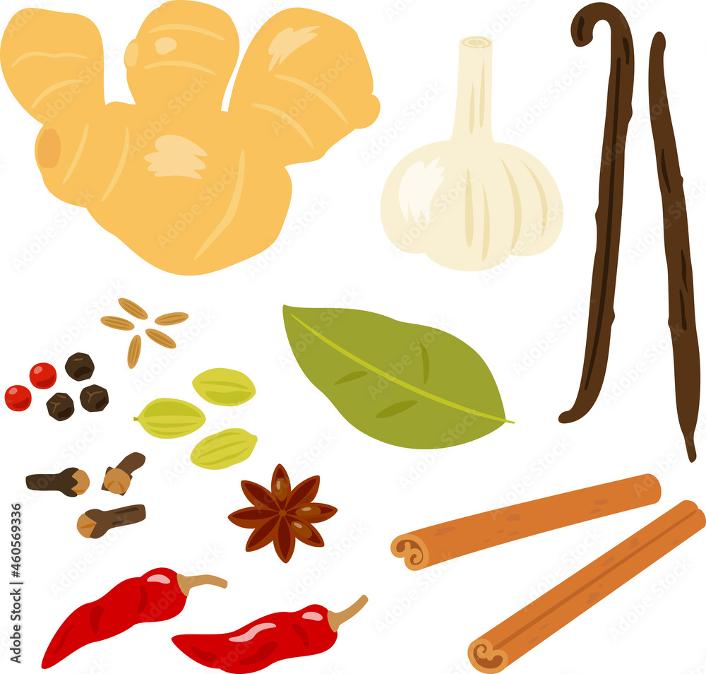 スパイスのイラストセット Stock Vector Adobe Stock