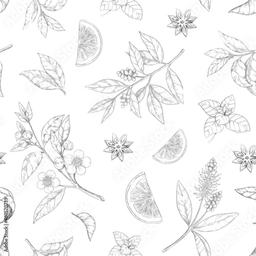 Tea leaf pattern. Seamless texture of green and black morning drink. Hand drawn engraving of branches with flowers. Anise and lemon piece sketch. Fresh foliage. Vector print template
