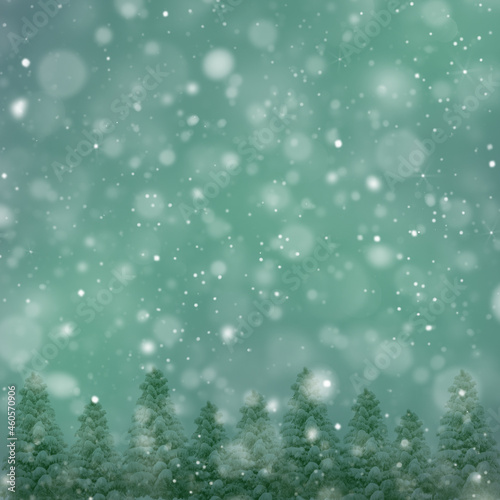 Fir Trees And Snow Flakes - Christmas Holidays Background