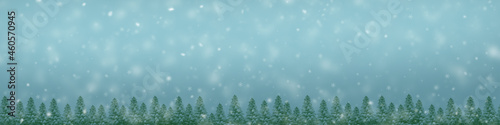 Christmas green framework on snowy background