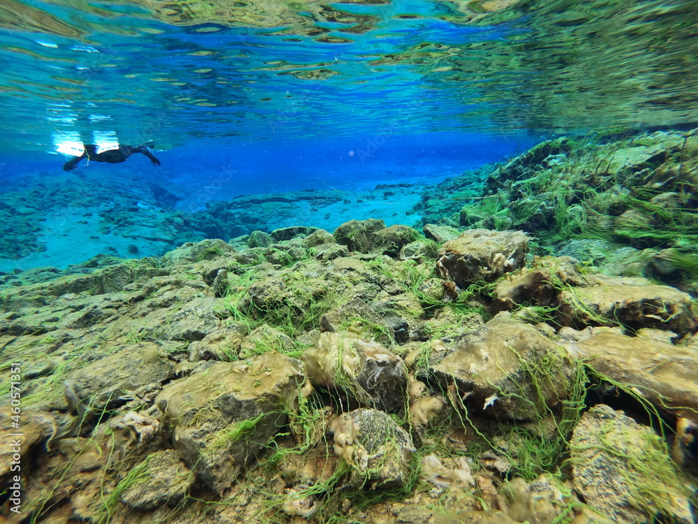 Obraz premium Clear water