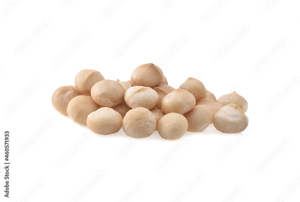 Macadamia nuts isolated on white background. Macadamia nuts isolated on white background.