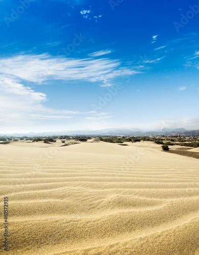 Blue sky and sand dunes. Sunny day.