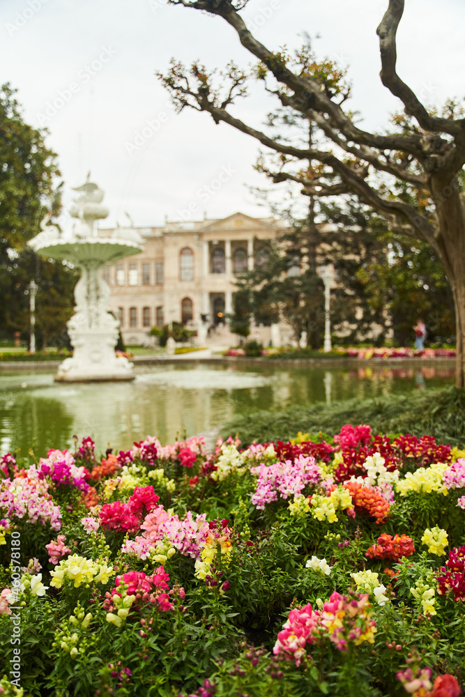 View of the amazing architecture of Dolmabahce Palace in Istanbul. High-quality photo View of the amazing architecture of Dolmabahce Palace in Istanbul. High-quality photo