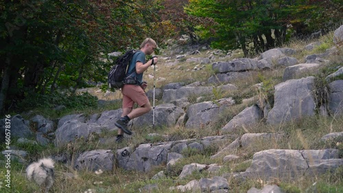 Man tourist hiker is walking in mounntains with trekking poles and his dogs. photo