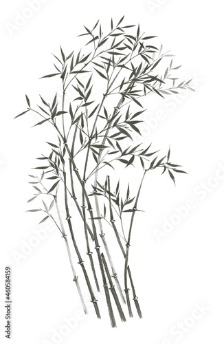 Digital illustration of bamboo, black and white.