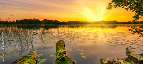 Fototapeta Naklejka Na Ścianę i Meble -  Beautiful summer sunrise over lake