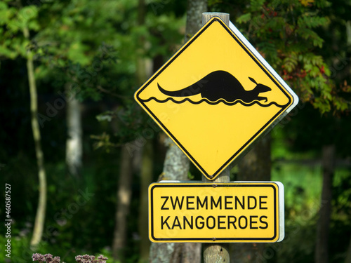 Kangaroo warning sign that says attention for swimming kangaroos in dutch language. Zoo Leeuwarden, Friesland, Netherlands photo