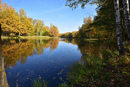 A yellow, orange, green outfit of trees is reflected in the cold autumn water of the English pond of Peterhof © IGOR SKORIKOV