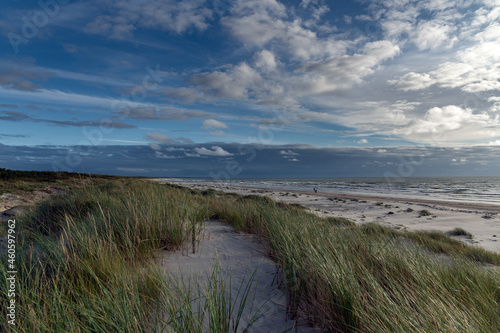 Green grass on Baltic sea beach.