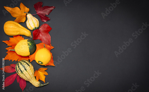 Autumn background, top view.Concept of fall harvest, Thanksgiving Day.
