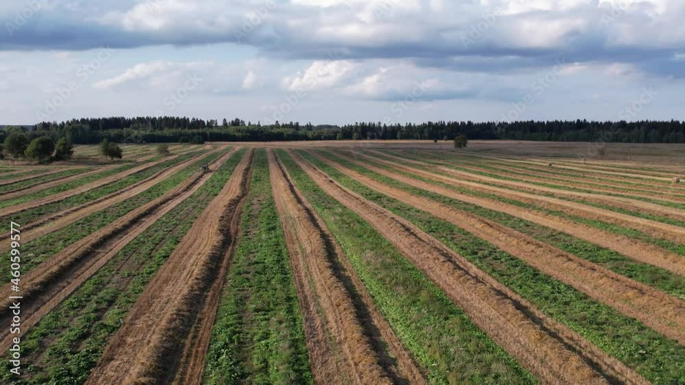 Russia. Gatchinsky district of the Leningrad region. August 28, 2021. A tractor in the field collects mown hay using a tillerblock with a rotating rake in the tracks to twist them into sheaves. Russia. Gatchinsky district of the Leningrad region. August 28, 2021. A tractor in the field collects mown hay using a tillerblock with a rotating rake in the tracks to twist them into sheaves.
