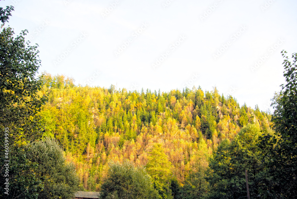 Fototapeta premium Bei Blechhammer