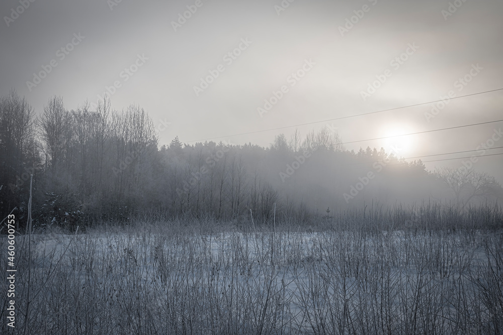 Fog in a meadow in winter, Vilnius, Lithuania. Morning sunrise, dark forest view, fresh snow in the field. Selective focus on the woods, blurred background. Fog in a meadow in winter, Vilnius, Lithuania. Morning sunrise, dark forest view, fresh snow in the field. Selective focus on the woods, blurred background.