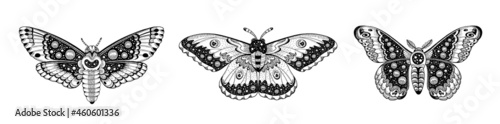 Moth tattoo set. Butterfly vector black art. Universe wing moth. Celestial occult moon sketch. Line animal drawing design. photo