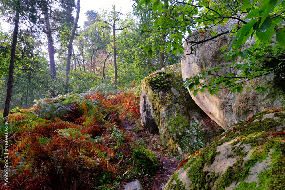 Denecourt hiking path number 10 in the Rock of Avon. Fontainebleau forest Denecourt hiking path number 10 in the Rock of Avon. Fontainebleau forest