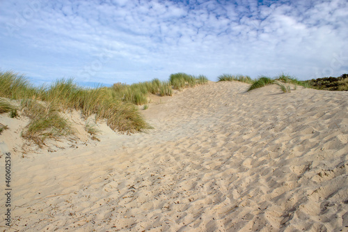 the dunes  Haamstede  Zeeland  the Netherlands