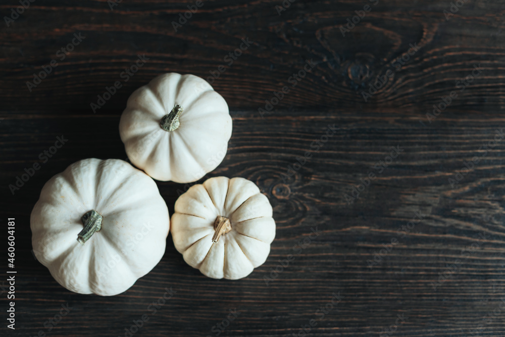 Ripe pumpkins on a dark wooden background. Minimalistic concept for Thanksgiving card or background. Ripe pumpkins on a dark wooden background. Minimalistic concept for Thanksgiving card or background.