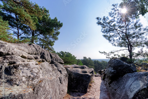 Avon rock in Fontainebleau forest