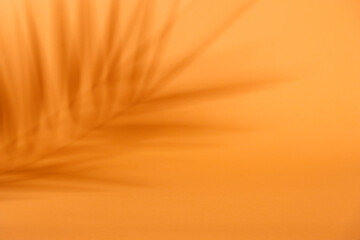 Tropical shadow on orange background. Tropic palm leaf overlay on thanksgiving and halloween backdrop. Product display. Natural silhouette on wall. Flat lay.