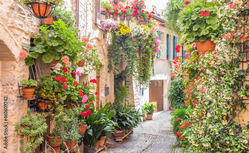 Flowers in ancient street located in Spello village. Umbria Region, Italy.