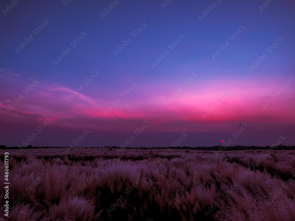 Fototapeta premium A beautiful evening with a colorful sky. 