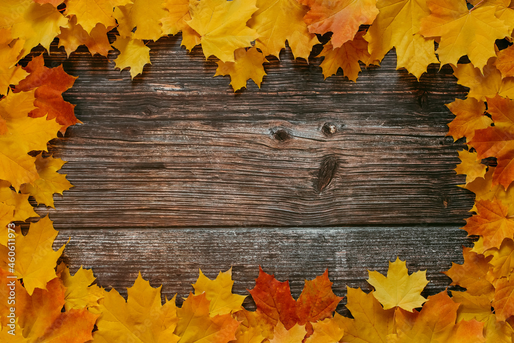 autumn frame of orange yellow maple leaves on old wooden background autumn frame of orange yellow maple leaves on old wooden background