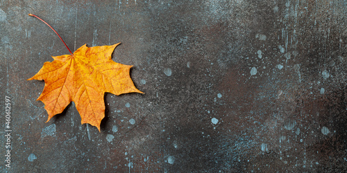 Autumn background with fall maple leaf on rusted metallic surface