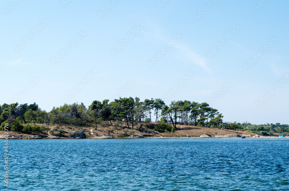 Beach with Trees and Sea