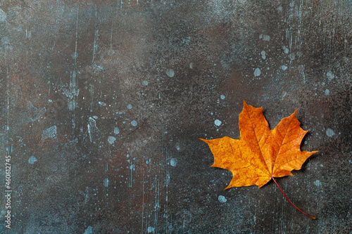 Autumn background with fall maple leaf on rusted metallic surface