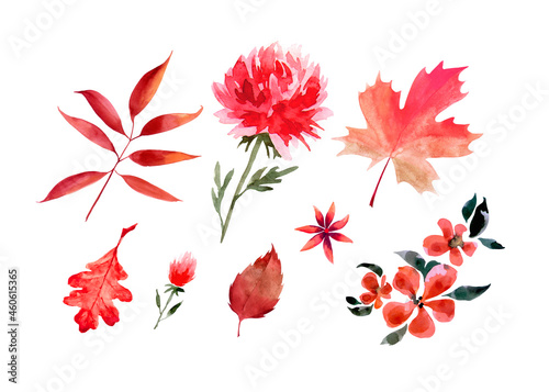 Watercolor autumn set of maple, birch, oak and red flower leaves. Autumn holiday, leaf fall. Watercolors leave floral arrangements. Botanical illustration. Autumn harvest.