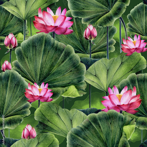 Pattern of pink lotus. Image of a water pink lily. Hand drawing with colored pencils and watercolors.