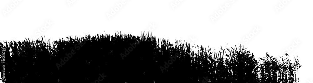 Black grass silhouette. Vector illustration Black grass silhouette. Vector illustration