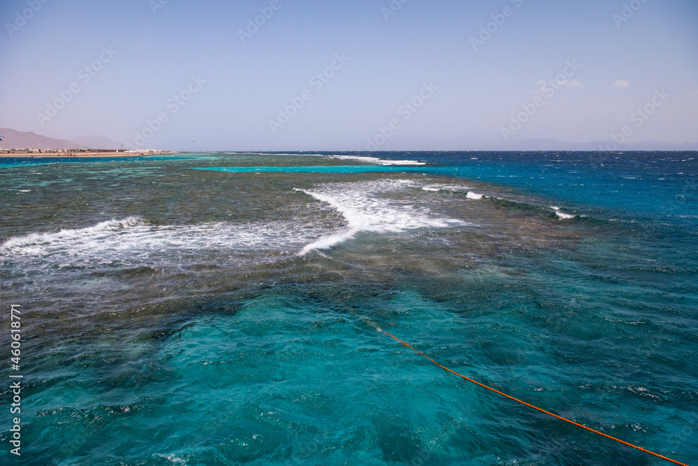 Red sea coast and coral reef.
