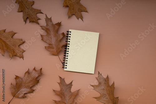 Minimalism autumn composition. Dry brown oak with blank sketchbook mock up on paspel background. Top view. Atmospheric fall flat lay. Hygge, thanksgiving day concept. Copy space