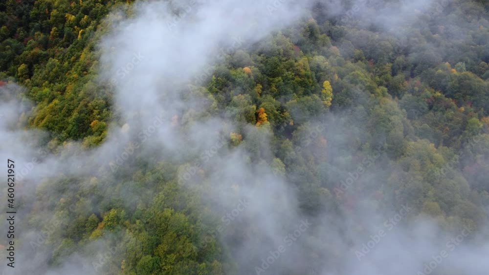 Fog and autumn colors on the mountain slope Fog and autumn colors on the mountain slope