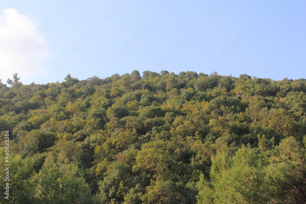 Lebanon - Debbieh - Nature
rock, forest, stone, nature, landscape, rocks, mountain, tree, trees, park, creek, woods, stones, brook, grass, wood, summer