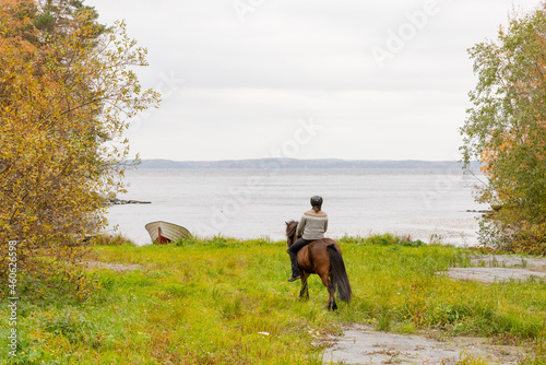 Icelandic horse in autumn season enviroment by the lake in Finland. Female rider.