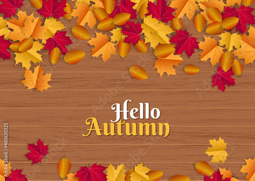 Hello Autumn illustration with scattered leaves on wood background