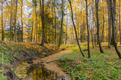 Autumn colors in Babolovsky Park