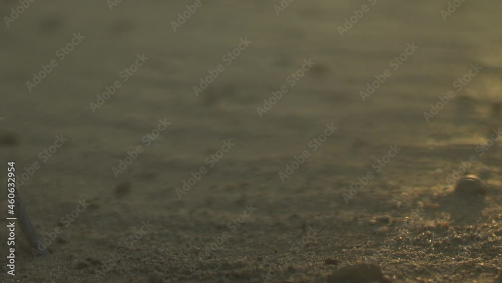 Animal skull weathered by hot sun in a desert in golden sunshine just after sunset. Animal skull weathered by hot sun in a desert in golden sunshine just after sunset.