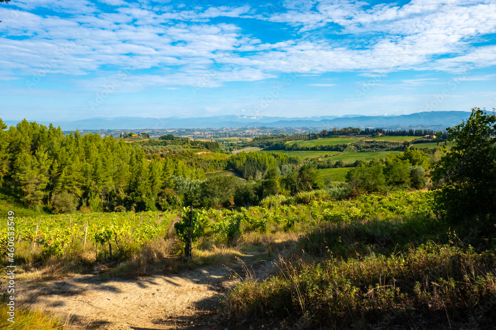 Landscapes in Tuscany along via Francigena between San Miniato and Gambassi Terme Landscapes in Tuscany along via Francigena between San Miniato and Gambassi Terme