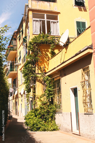 Fototapeta Naklejka Na Ścianę i Meble -  sonnige Straße in Santa Margherita Ligure Italien 