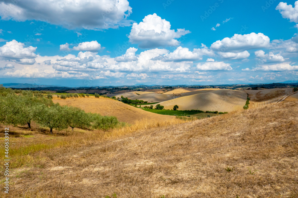 Landscapes in Tuscany along via Francigena between San Miniato and Gambassi Terme Landscapes in Tuscany along via Francigena between San Miniato and Gambassi Terme