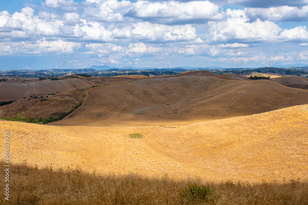 Landscapes in Tuscany along via Francigena between San Miniato and Gambassi Terme Landscapes in Tuscany along via Francigena between San Miniato and Gambassi Terme