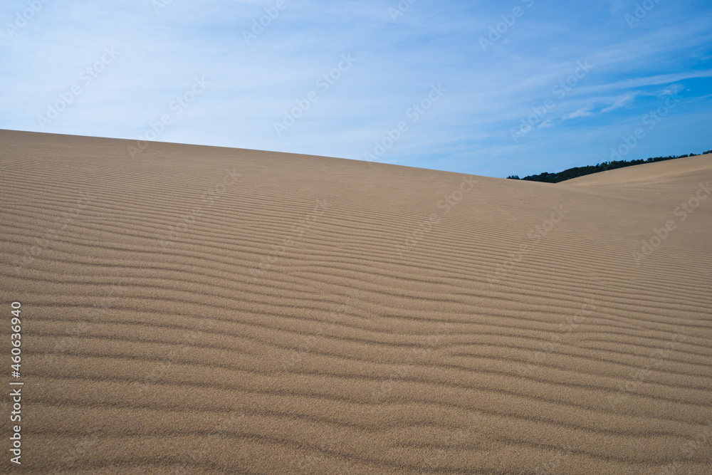 Naklejka premium 鳥取砂丘と風紋